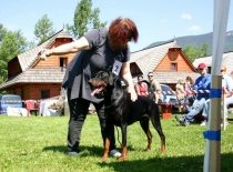 speciální výstava DKSR L.SIelnica 2012 - výborný 1., CAJC,. vítěz speciáoní výstavy mladých