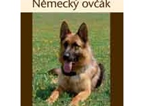 Německý ovčák - Autor: Eva Soukupová