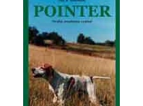 Pointer - Autor: Jan B. Martinek